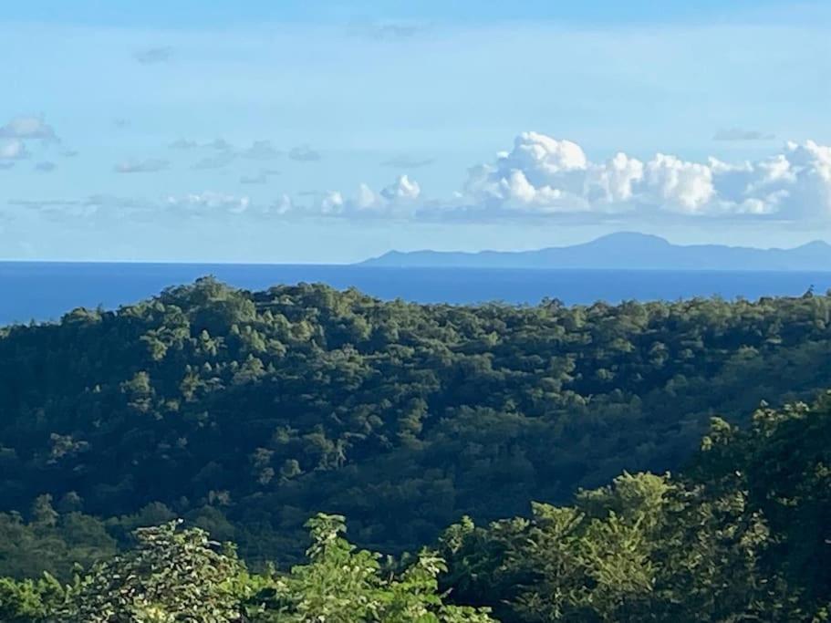 Les Terrasses De Maelle - Jolie Villa F4 Vue Mer Riviere-Salee エクステリア 写真